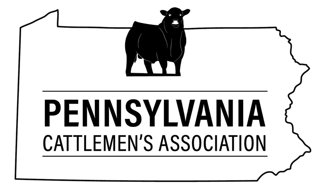 PACATTLE Logo